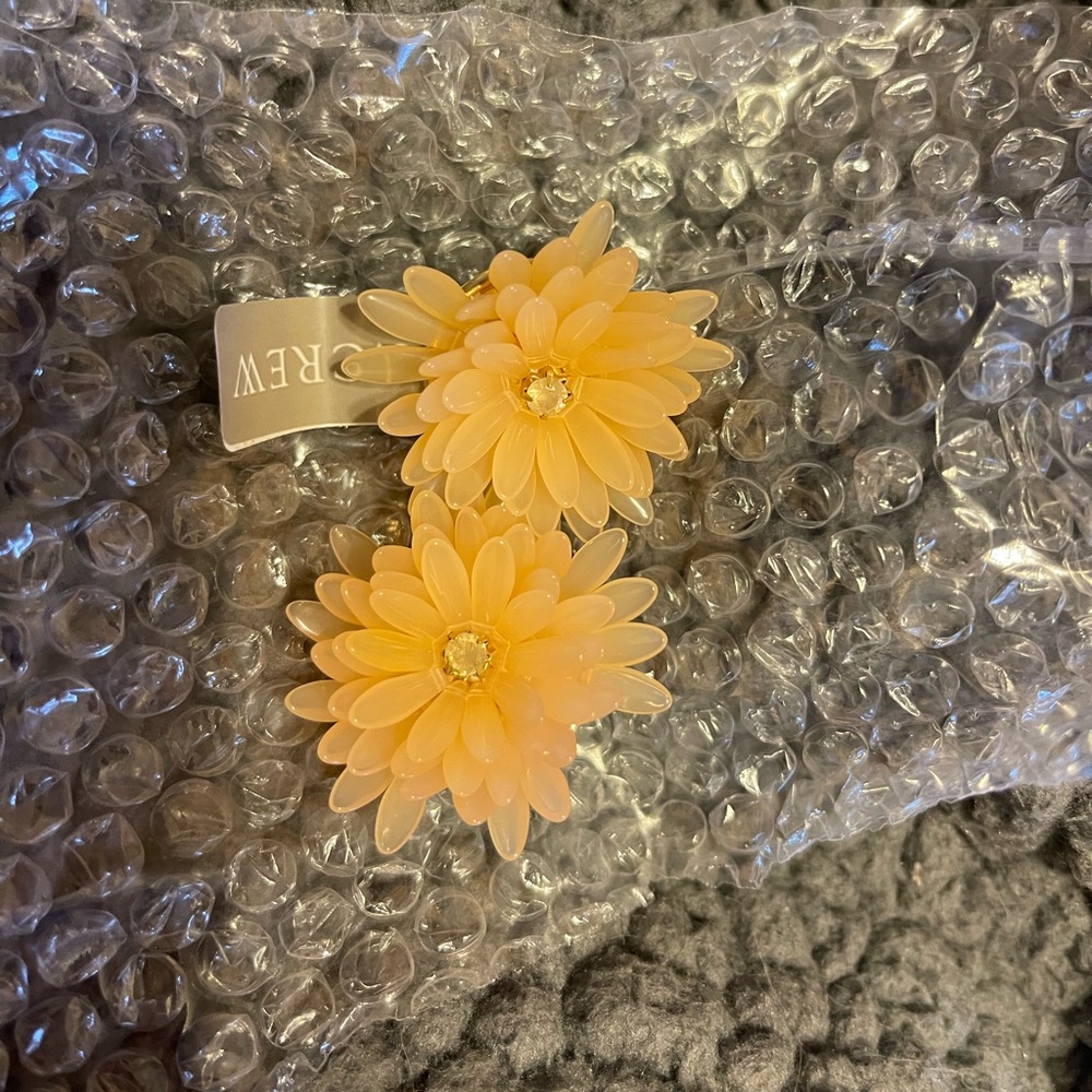 JCrew Earrings